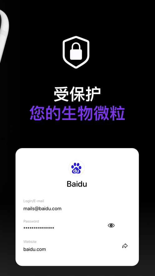  密码管理: Secure Password Vault图1