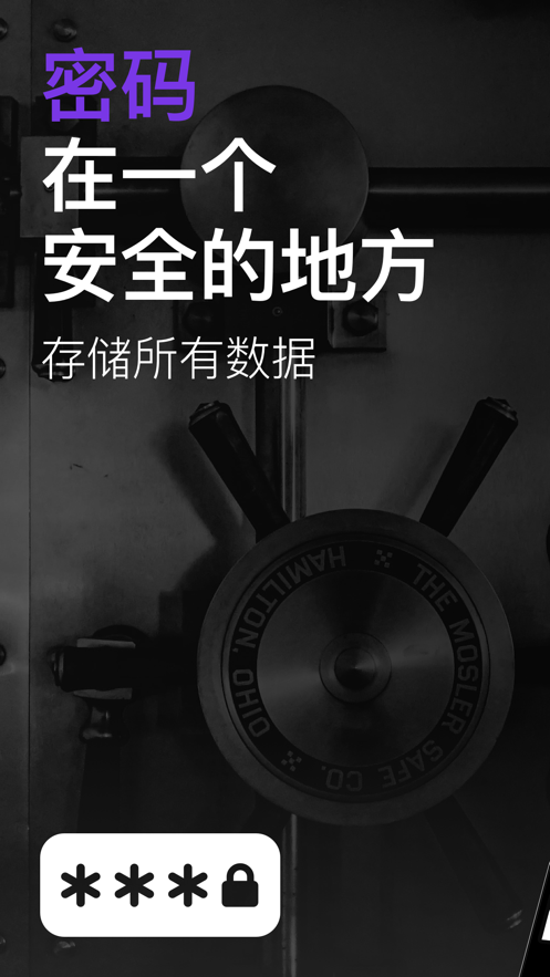  密码管理: Secure Password Vault图2