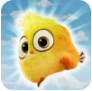愤怒的小鸡安卓最新版游戏下载免费