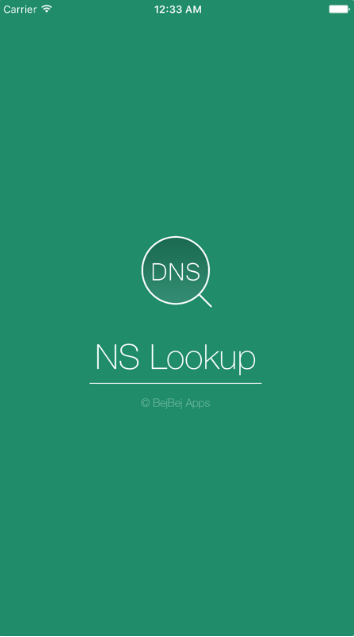 nslookup软件下载正版图1