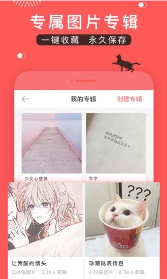 堆糖网app下载手机版图2