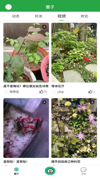 花草坑app下载图2