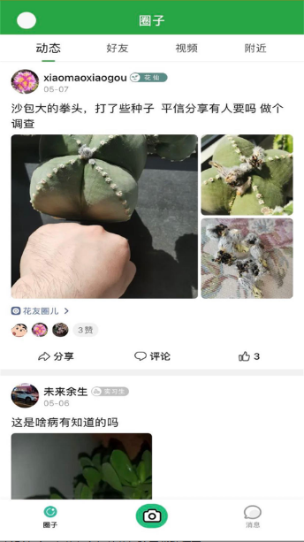 花草坑app下载图1