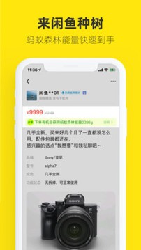 闲鱼app绿色版图1