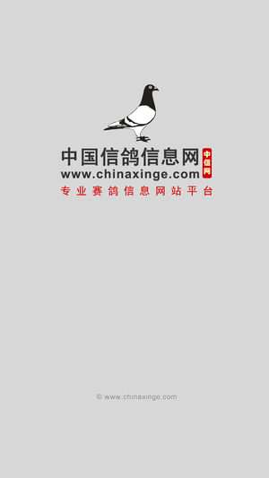 中国信鸽信息网图3