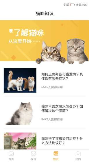 猫咪翻译器图3