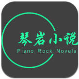 琴岩小说
