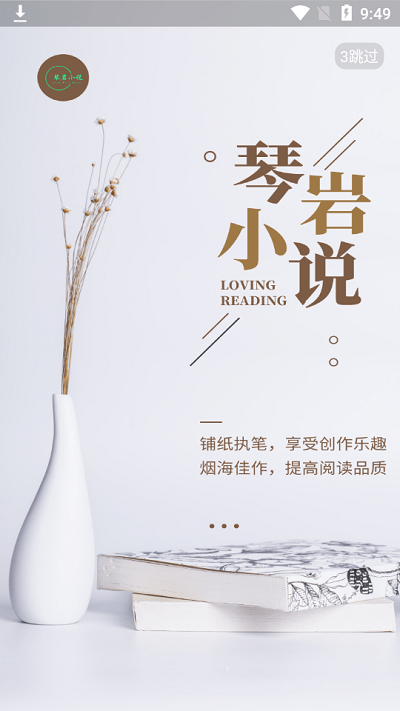 琴岩小说图4