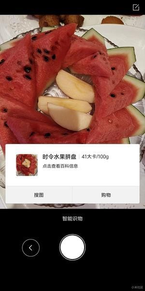 小米智能识物图2