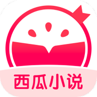 西瓜小说
