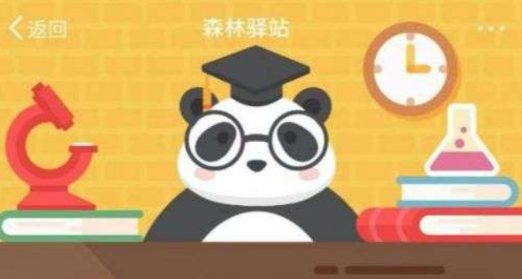 新浪微博森林驿站6月7日最新题目 大熊猫很适合当宠物养的说法正确吗？