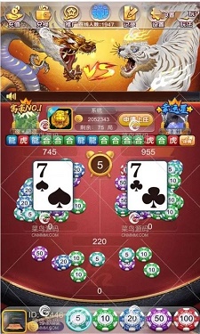 龙虎棋牌图4