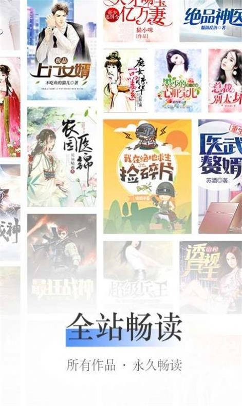纸彩小说图3