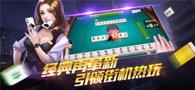 华乐棋牌正版图3