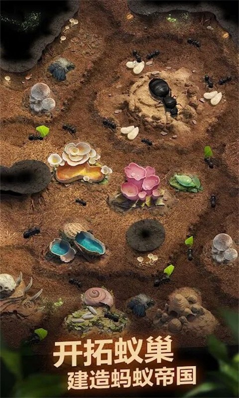 荒野蚂蚁模拟器图1