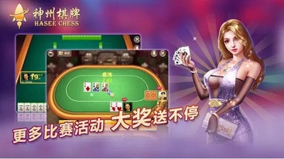 老版神州棋牌图4