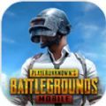 pubgmobile印度服