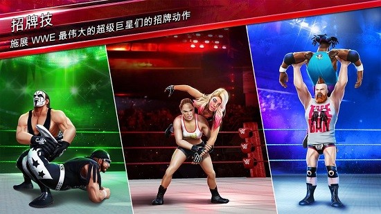 WWE英国职业摔角图2