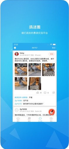 中鸽网 v2.1.6 安卓版图1