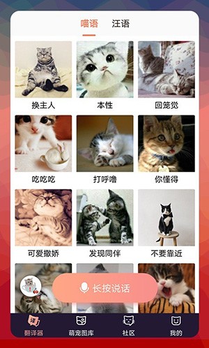 猫语翻译器 v1.0.1 最新免费版图1