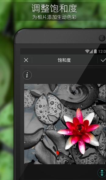 相片大师 v12.2.0 完美破解版图1