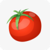 西红柿小说 v3.6.0.3 最新版