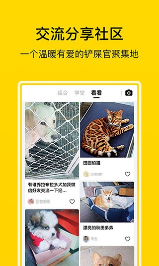 小绒宠物 v3.9.0 最新版图2