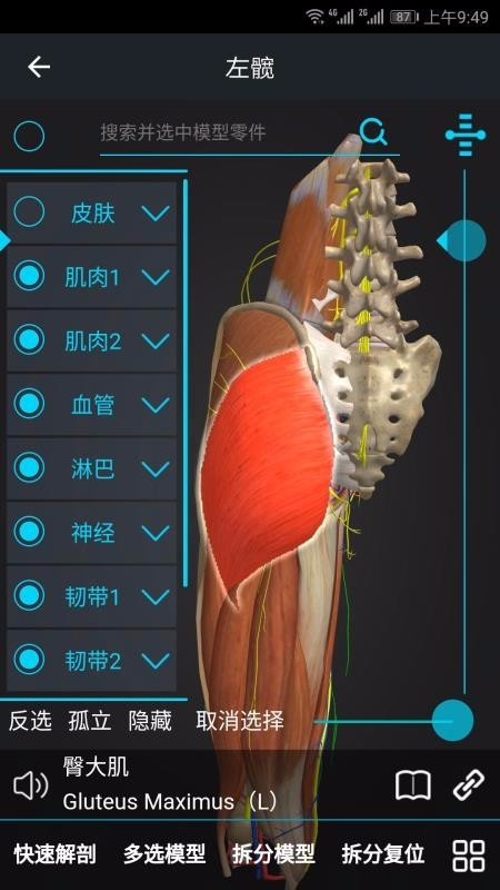 医维度 v1.0.0 中文破解版图2