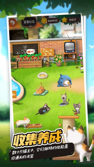 猫语咖啡 v1.0.12图2