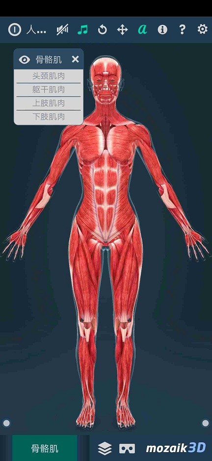 Human body v1.0 安卓版图1