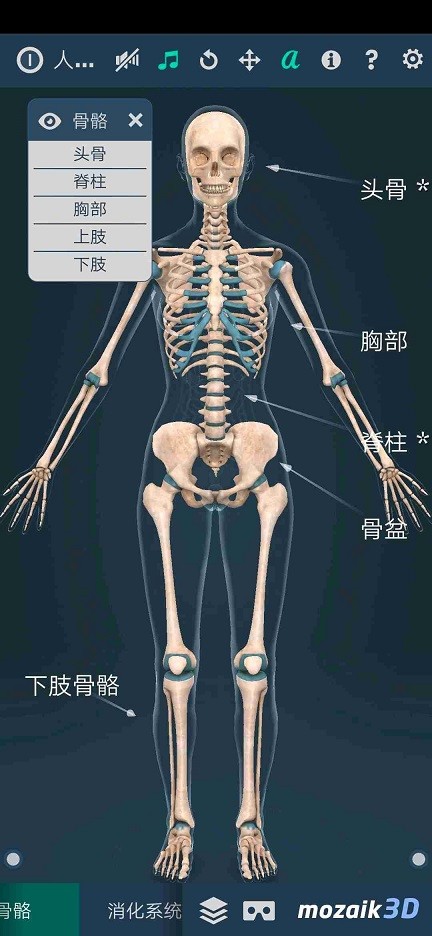Human body v1.0 安卓版图3