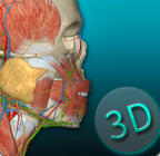 人体解剖学图集 v3.9.0 安卓版
