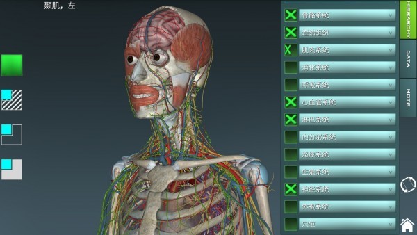 人体解剖学图集 v3.9.0 安卓版图2