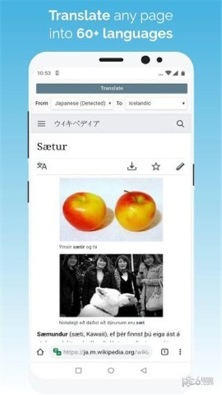 kiwi浏览器 v1.0 安卓版图4