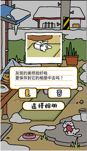 猫咪后院 v1.12.1 最新版图3