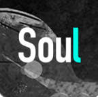 Soul v3.40.0 安卓版