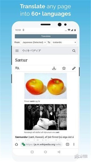 kiwi浏览器 v3.3.0 无限制破解版图3