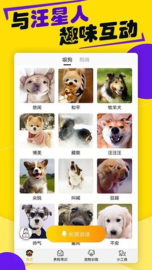 狗语翻译器 v1.0.5 最新版图2