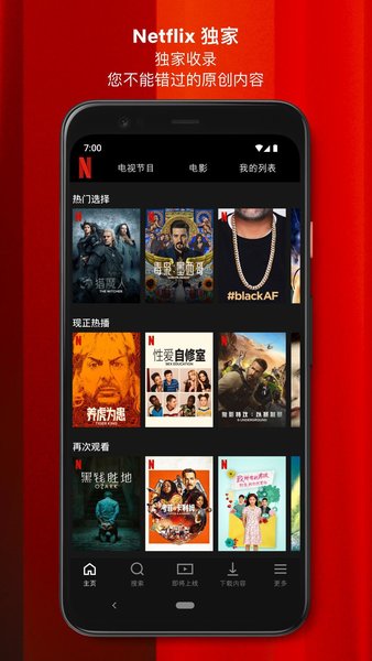 netflix图2