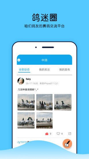 中鸽直播网app图3